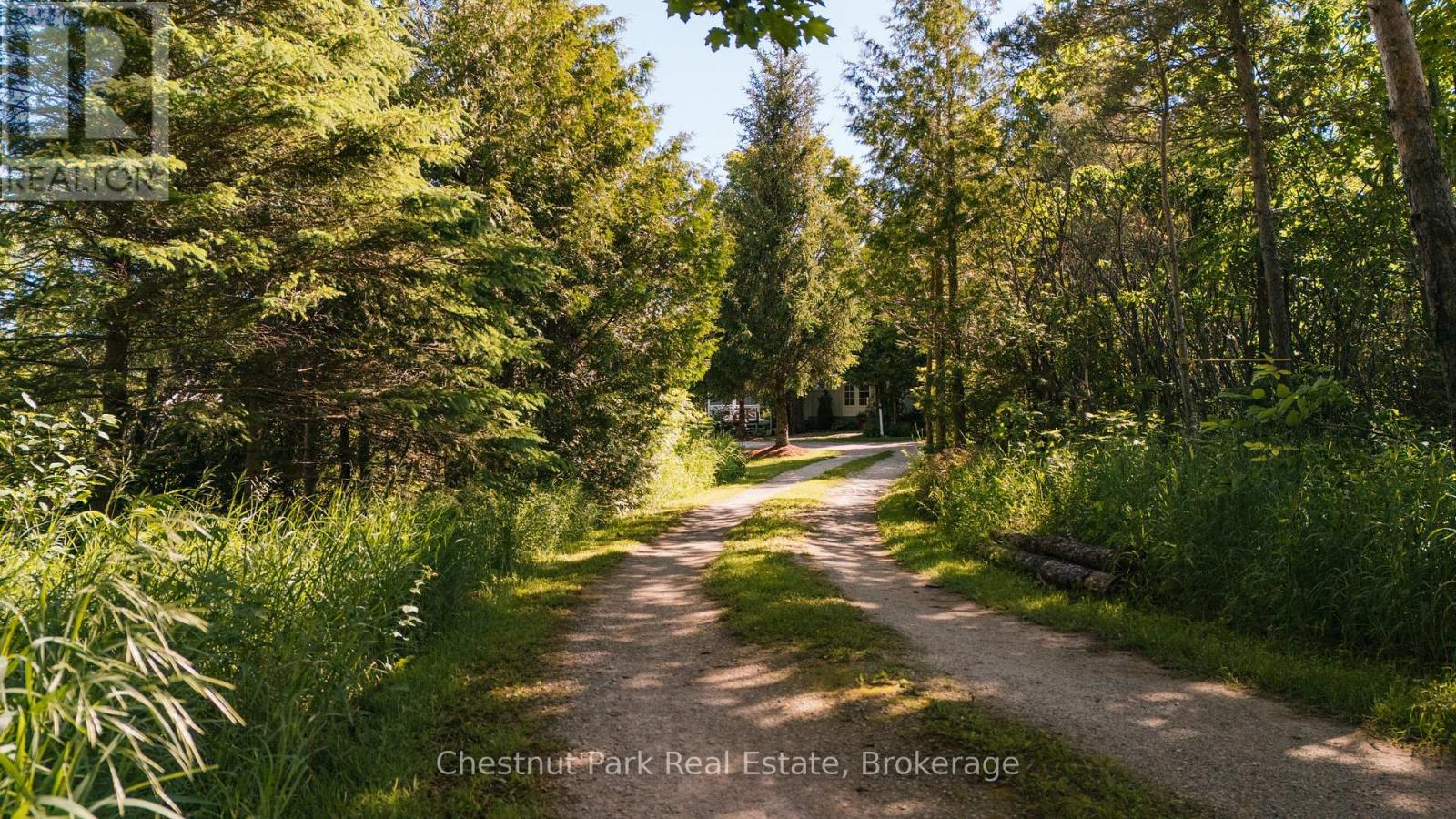 729297 21st Side Road, Blue Mountains, Ontario  N0H 1J0 - Photo 6 - X13456170
