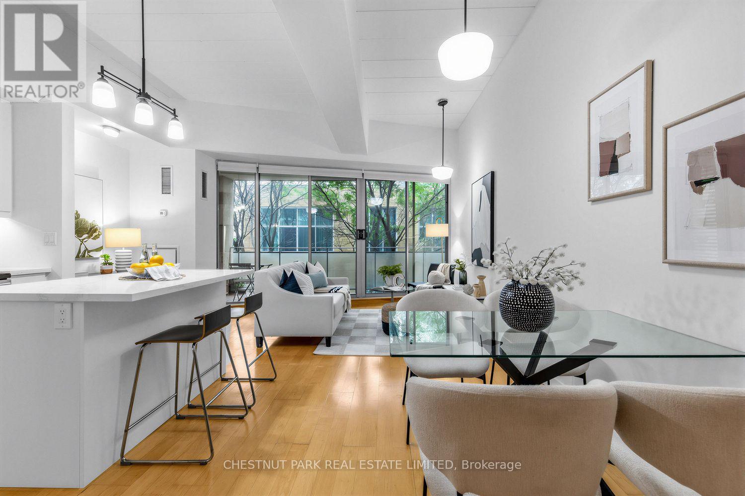 409 - 160 BALDWIN STREET, Toronto, Ontario