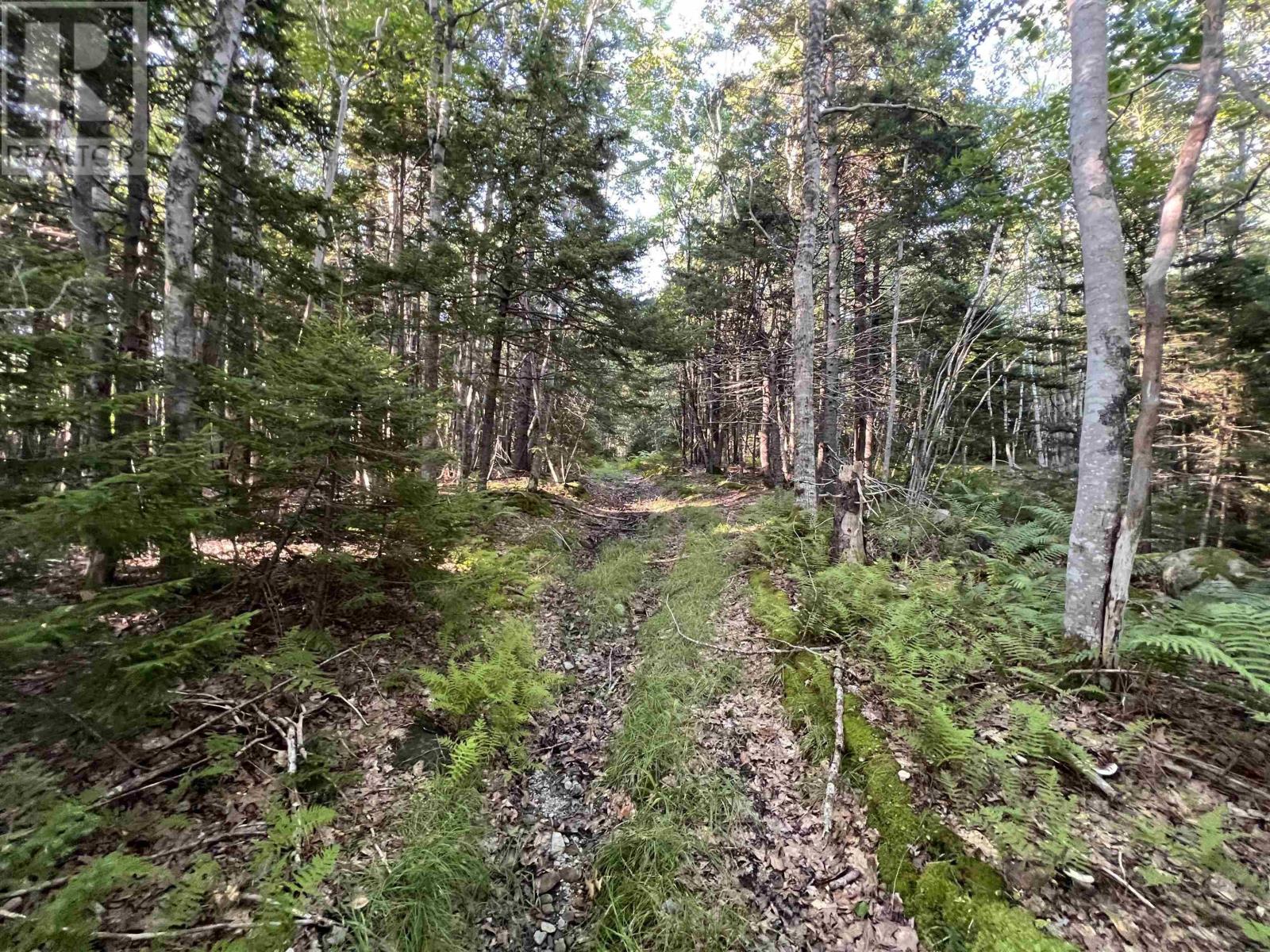 Lot 26-2 James Street, Brooklyn, Nova Scotia  B0J 1H0 - Photo 10 - 202621304