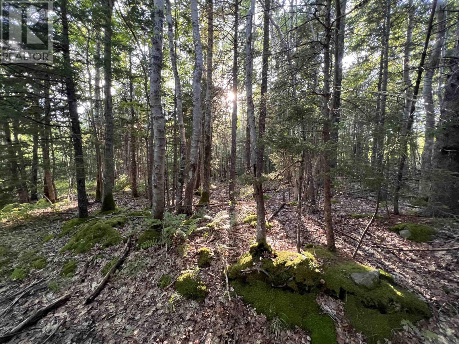 Lot 26-2 James Street, Brooklyn, Nova Scotia  B0J 1H0 - Photo 11 - 202621304