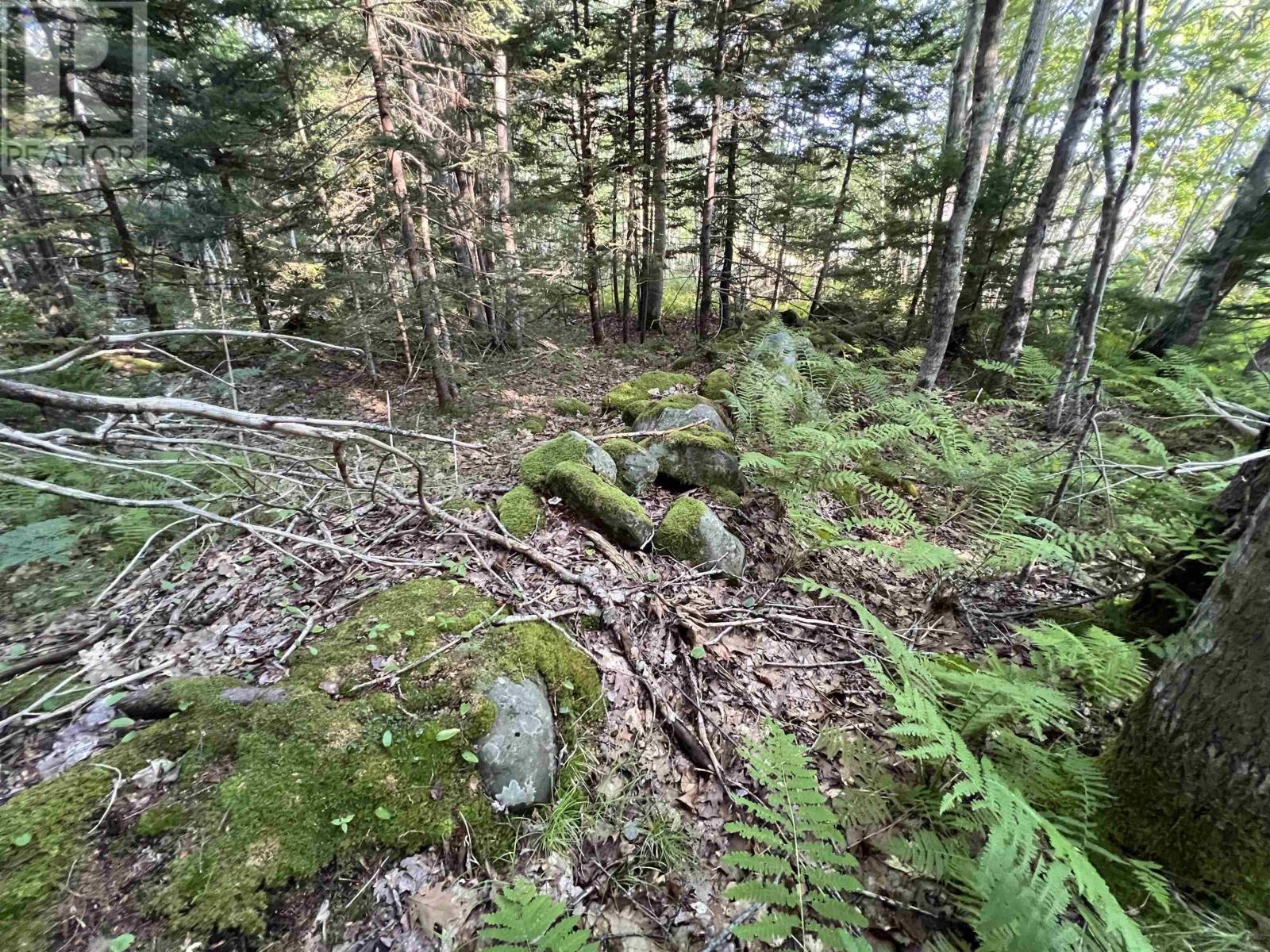 Lot 26-2 James Street, Brooklyn, Nova Scotia  B0J 1H0 - Photo 12 - 202621304