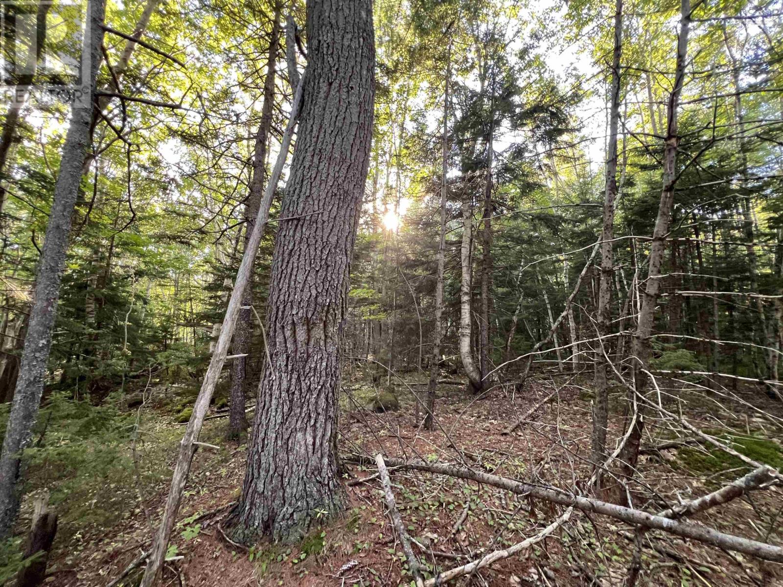 Lot 26-2 James Street, Brooklyn, Nova Scotia  B0J 1H0 - Photo 16 - 202621304