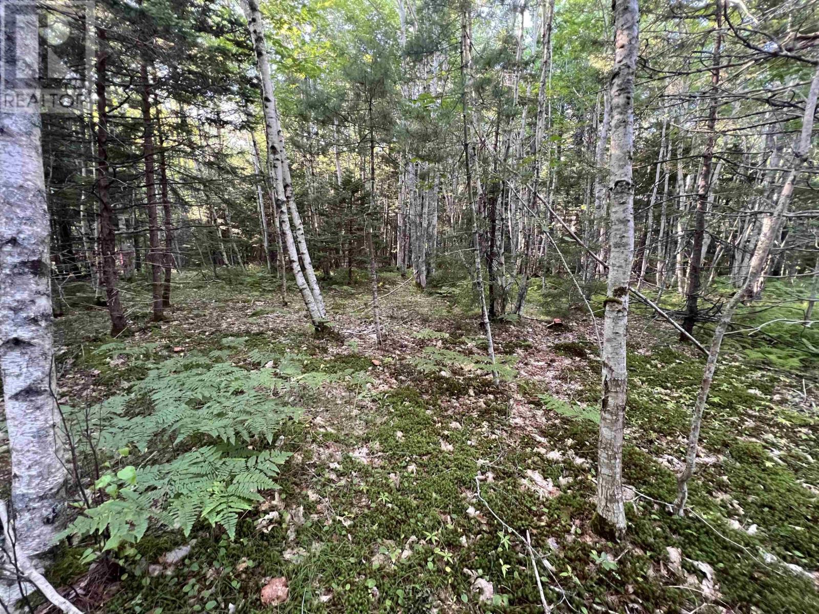 Lot 26-2 James Street, Brooklyn, Nova Scotia  B0J 1H0 - Photo 17 - 202621304