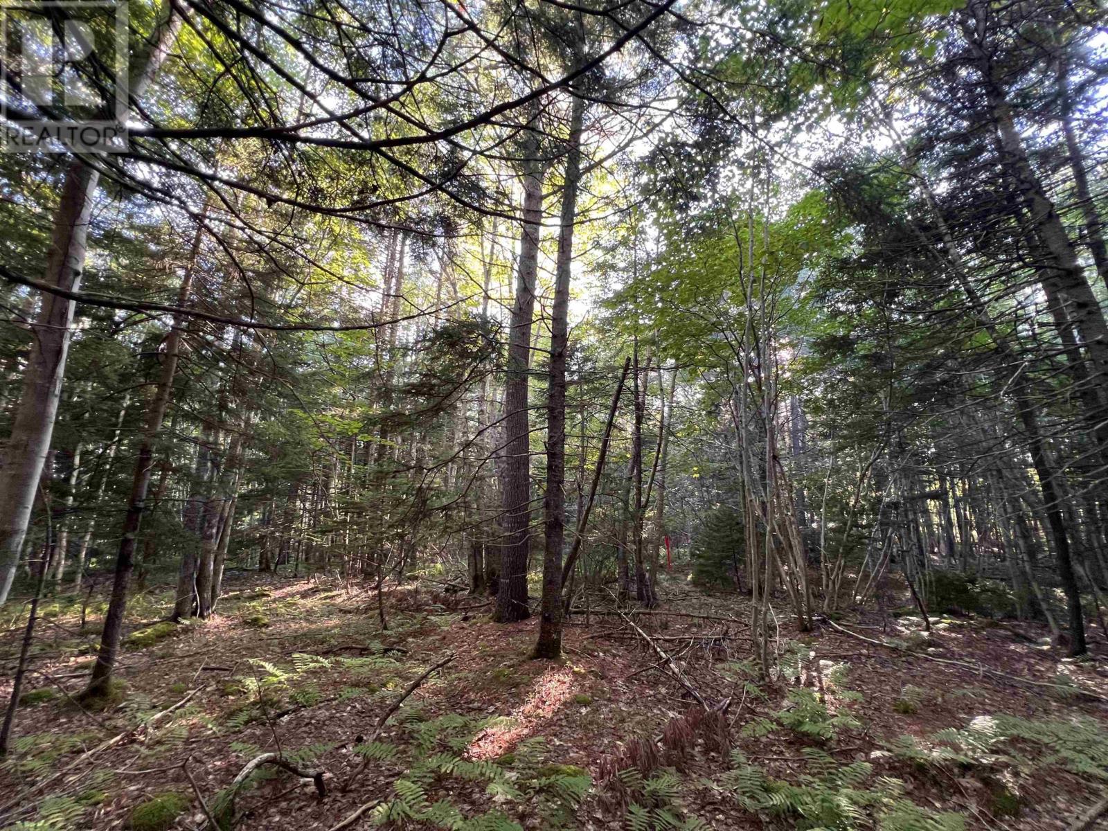 Lot 26-2 James Street, Brooklyn, Nova Scotia  B0J 1H0 - Photo 20 - 202621304