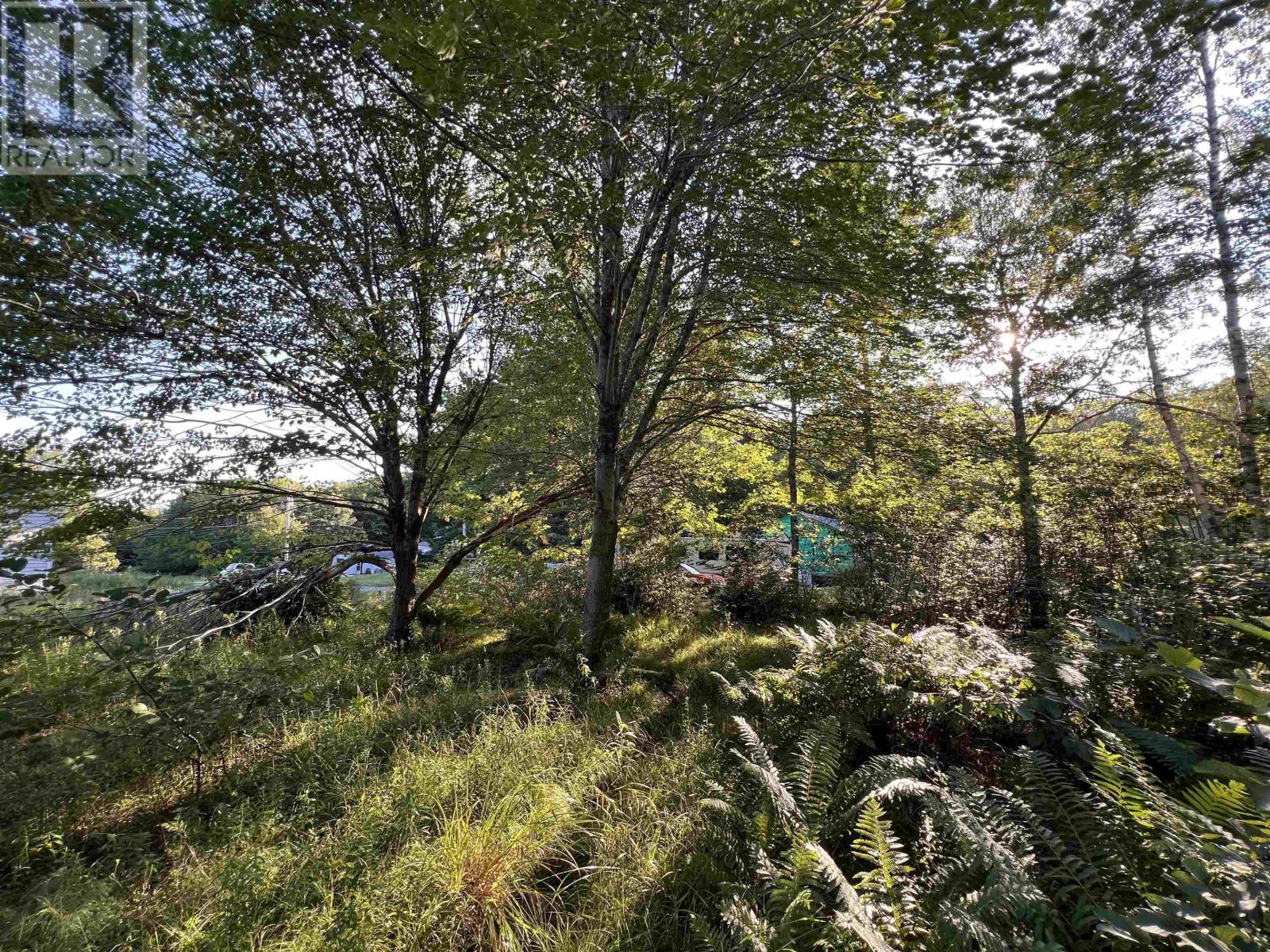 Lot 26-2 James Street, Brooklyn, Nova Scotia  B0J 1H0 - Photo 24 - 202621304