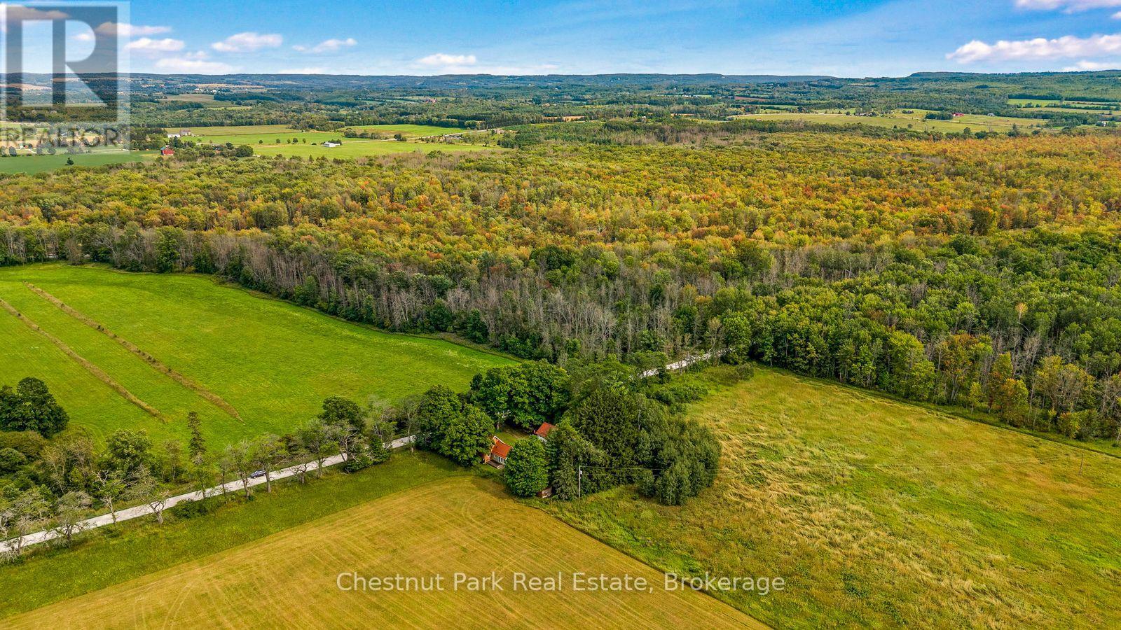 316238 3rd Line C, Grey Highlands, Ontario  N0H 1N0 - Photo 47 - X13706028