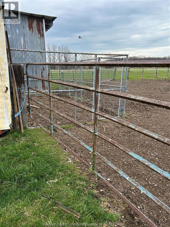 1891 Road 4, Kingsville, Ontario  N9Y 2E5 - Photo 37 - 26007963