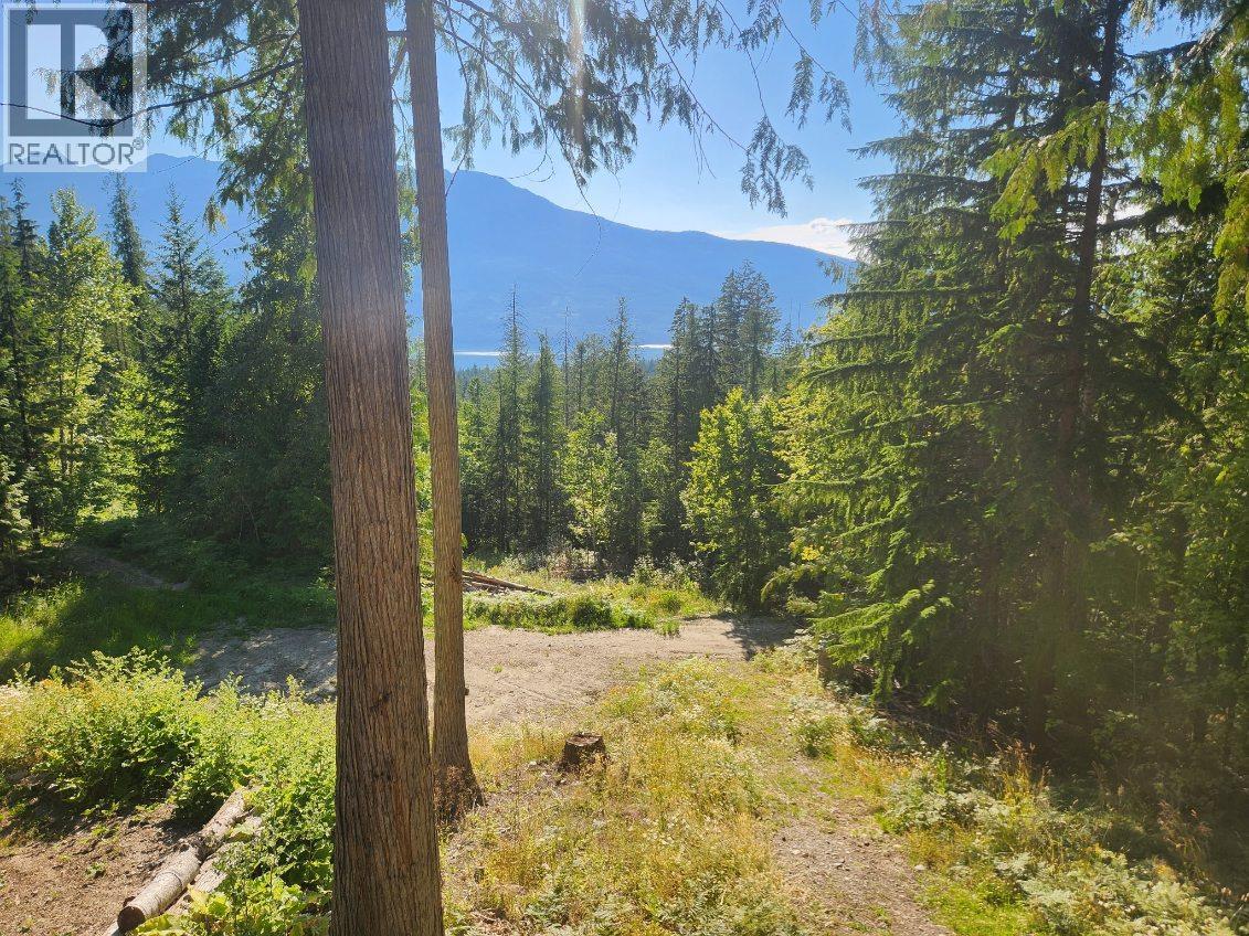760 Kangaroo Trail, Nakusp, British Columbia V0G 1R0 - Photo 30 - 10395943