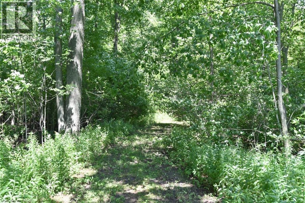 529 Charlotteville Road 5, Simcoe, Ontario  N3Y 4K1 - Photo 25 - 40847647