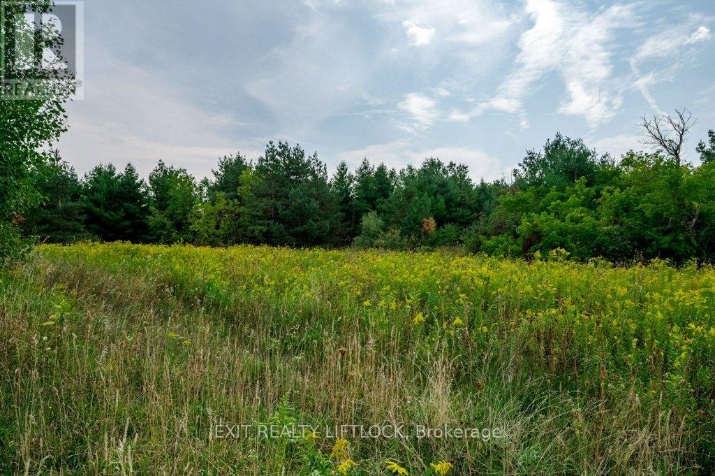 194 County Rd 10, Cavan Monaghan, Ontario  L0A 1G0 - Photo 42 - X13706406