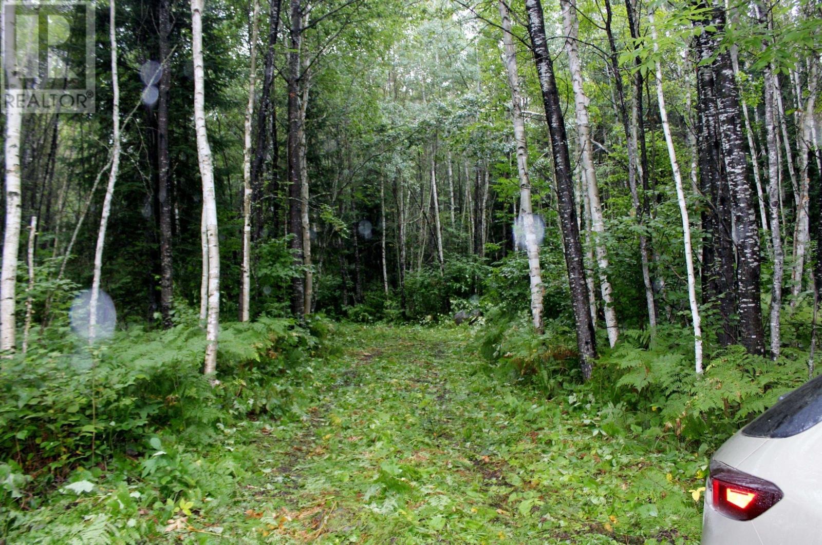 402 Andrews Rd, Stratton, Ontario  P0W 1N0 - Photo 21 - TB2602487