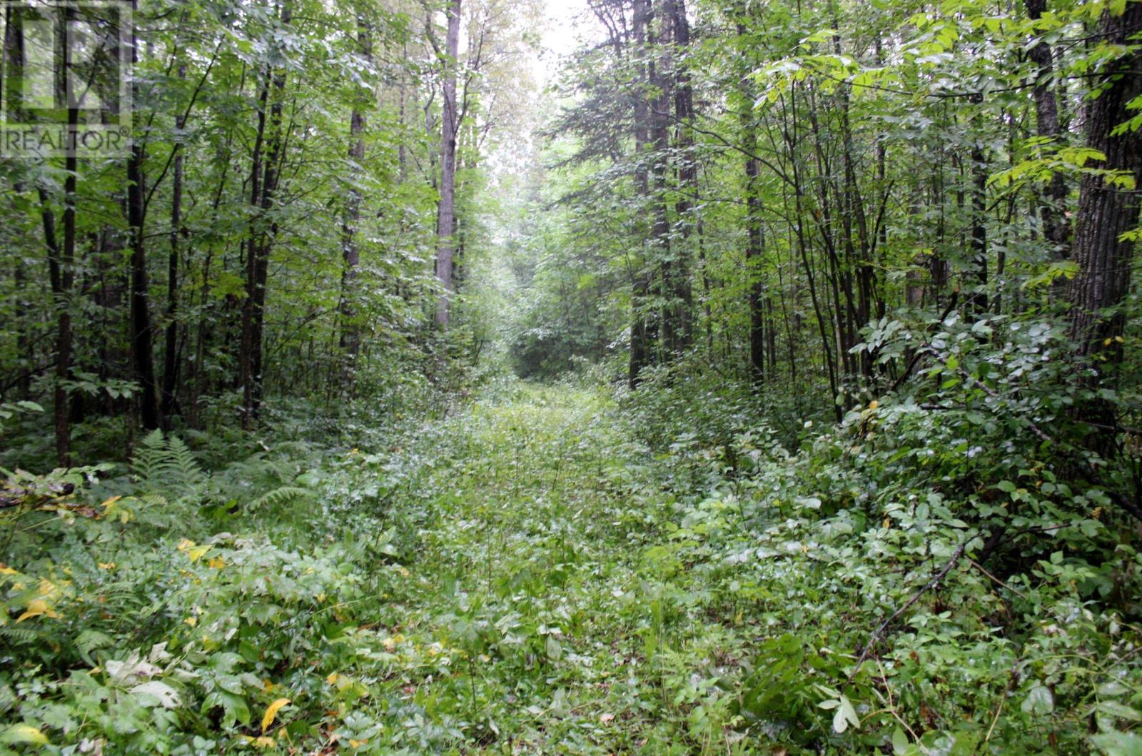 402 Andrews Rd, Stratton, Ontario  P0W 1N0 - Photo 23 - TB2602487