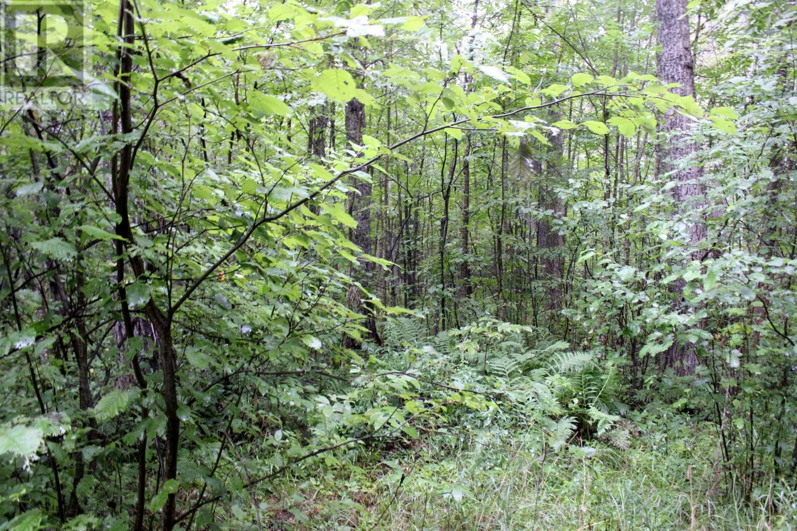 402 Andrews Rd, Stratton, Ontario  P0W 1N0 - Photo 25 - TB2602487