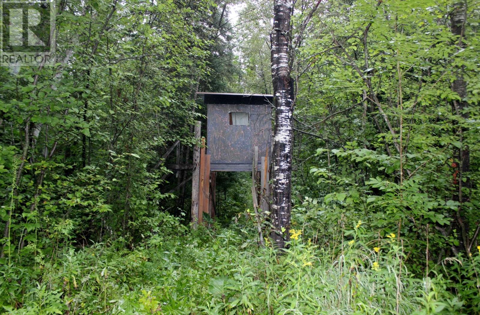 402 Andrews Rd, Stratton, Ontario  P0W 1N0 - Photo 31 - TB2602487