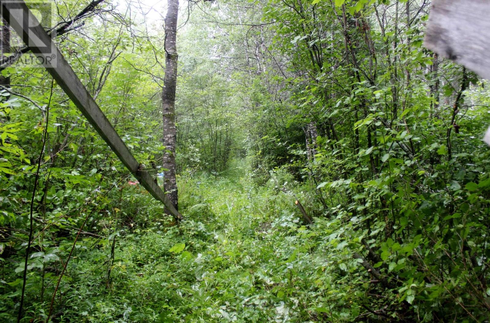 402 Andrews Rd, Stratton, Ontario  P0W 1N0 - Photo 35 - TB2602487