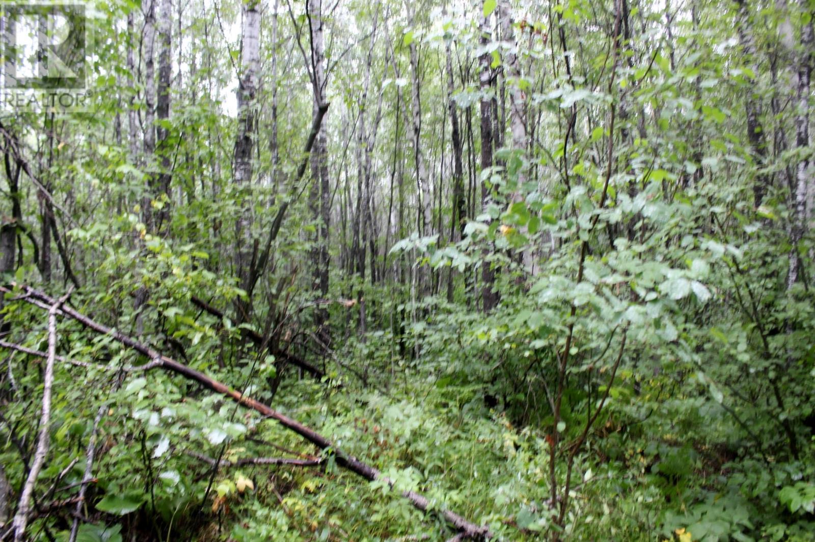 402 Andrews Rd, Stratton, Ontario  P0W 1N0 - Photo 36 - TB2602487