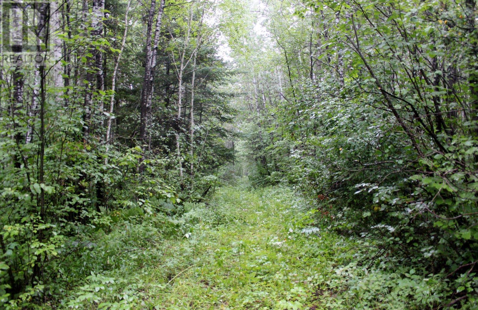 402 Andrews Rd, Stratton, Ontario  P0W 1N0 - Photo 37 - TB2602487