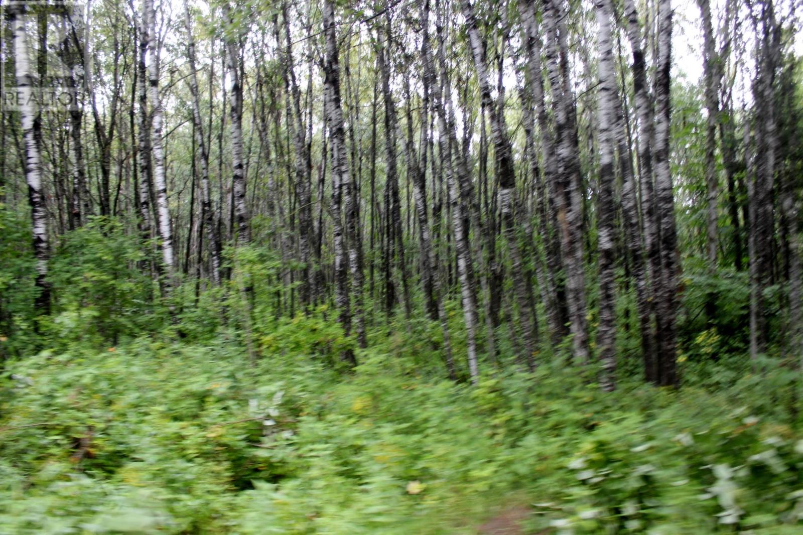 402 Andrews Rd, Stratton, Ontario  P0W 1N0 - Photo 39 - TB2602487