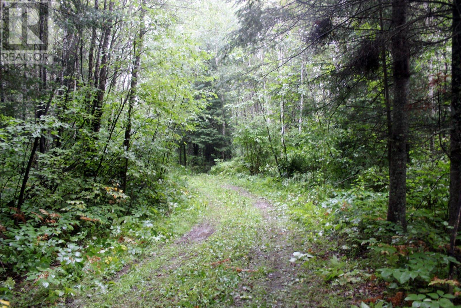 402 Andrews Rd, Stratton, Ontario  P0W 1N0 - Photo 42 - TB2602487