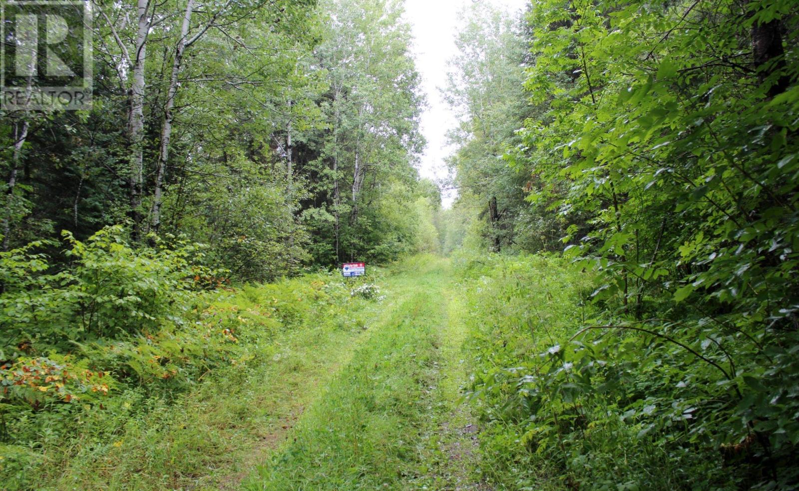 402 Andrews Rd, Stratton, Ontario  P0W 1N0 - Photo 43 - TB2602487