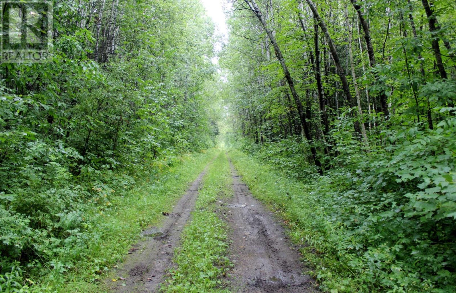 402 Andrews Rd, Stratton, Ontario  P0W 1N0 - Photo 45 - TB2602487