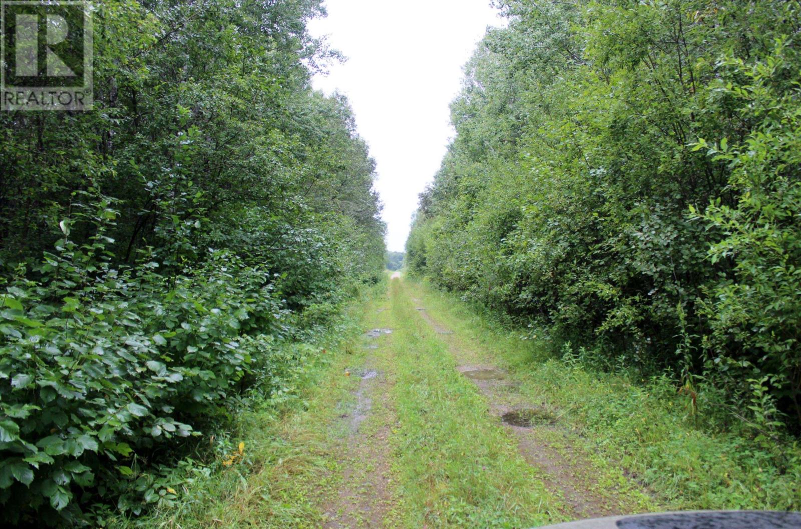 402 Andrews Rd, Stratton, Ontario  P0W 1N0 - Photo 46 - TB2602487