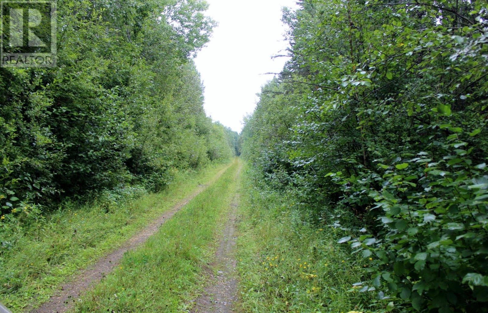 402 Andrews Rd, Stratton, Ontario  P0W 1N0 - Photo 47 - TB2602487