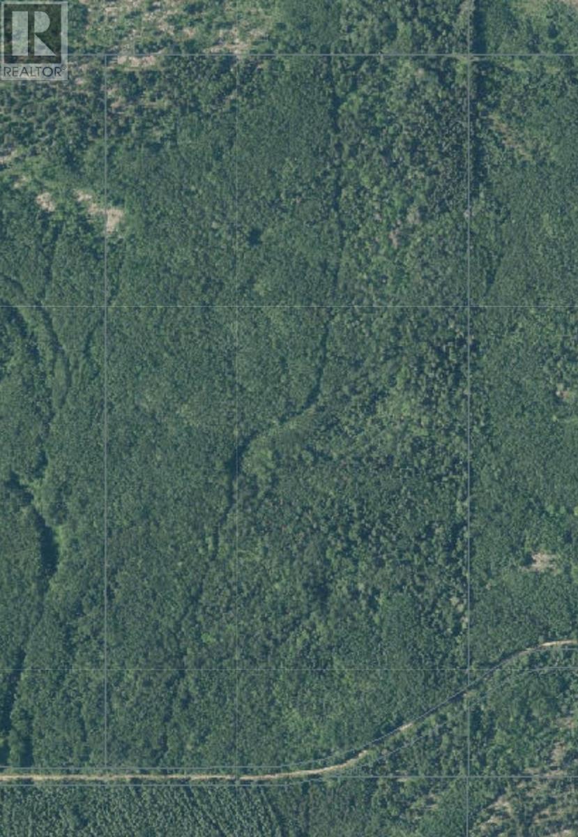 402 Andrews Rd, Stratton, Ontario  P0W 1N0 - Photo 5 - TB2602487