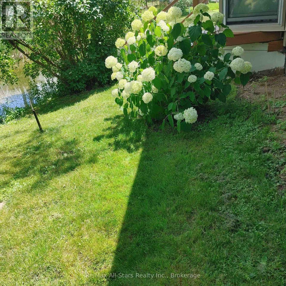 42 Otter Line, Kawartha Lakes, Ontario  K9V 0K1 - Photo 40 - X13706654