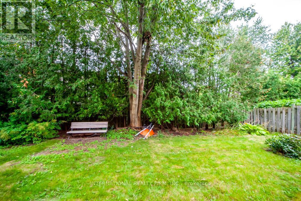 Lower - 11 Coates Crescent, Richmond Hill, Ontario L4E 2M3 - Photo 15 - N13706612