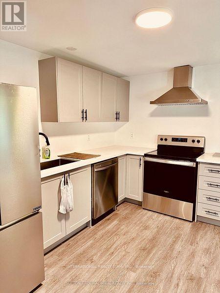 Lower - 11 Coates Crescent, Richmond Hill, Ontario L4E 2M3 - Photo 6 - N13706612