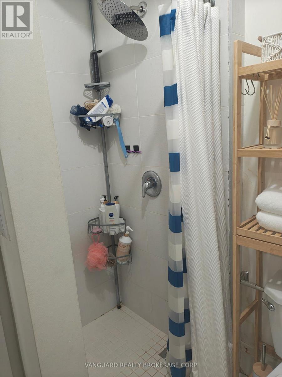 Basement - 982 Dovercourt Road, Toronto, Ontario  M6H 2X5 - Photo 10 - W13706452