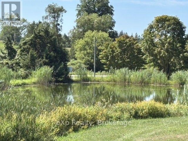 4 - 230 4 Concession, South Bruce, Ontario  N0G 1J0 - Photo 35 - X13706836