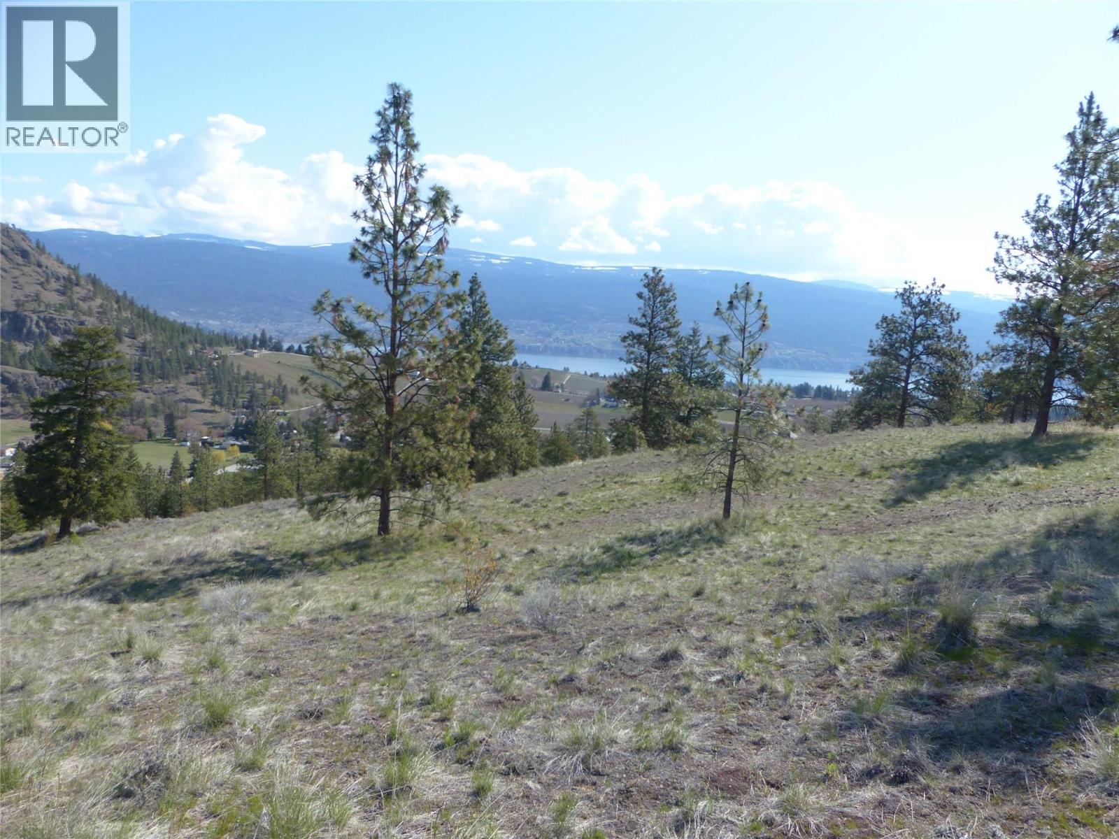 8900 Gilman Road, Summerland, British Columbia V0H 1Z2 - Photo 4 - 10388012