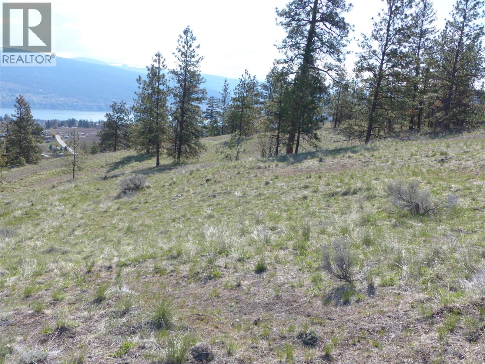 8900 Gilman Road, Summerland, British Columbia V0H 1Z2 - Photo 5 - 10388012