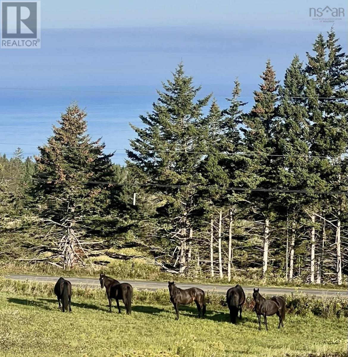 9262 St Croix Cove Road, St Croix Cove, Nova Scotia  B0S 1L0 - Photo 49 - 202523528