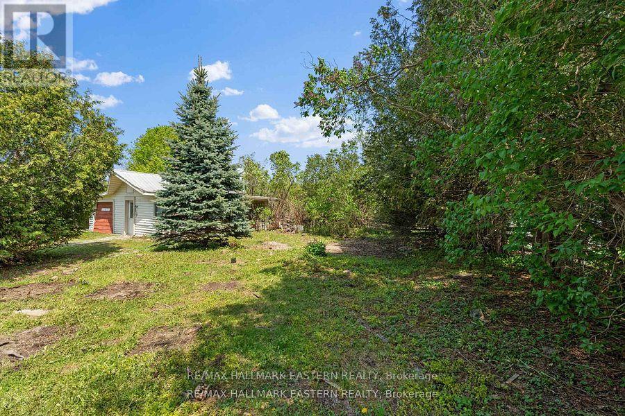 2215 David Fife Line, Otonabee-South Monaghan, Ontario  K0L 1B0 - Photo 40 - X13707012