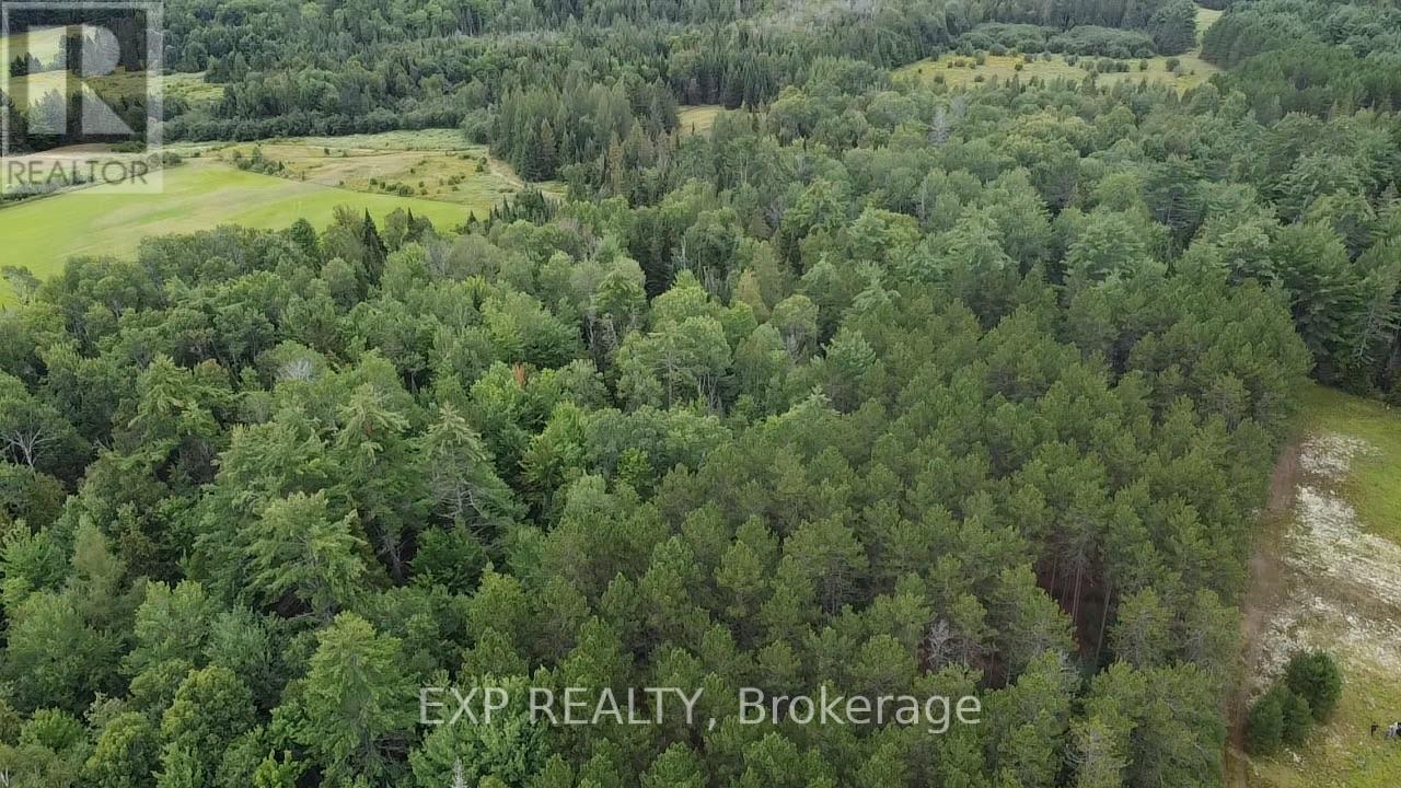 6311 Palmer Road, Brudenell, Ontario  K0J 2E0 - Photo 18 - X13706994
