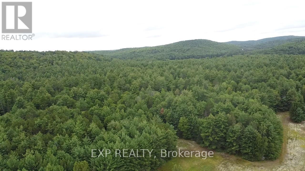 6311 Palmer Road, Brudenell, Ontario  K0J 2E0 - Photo 23 - X13706994