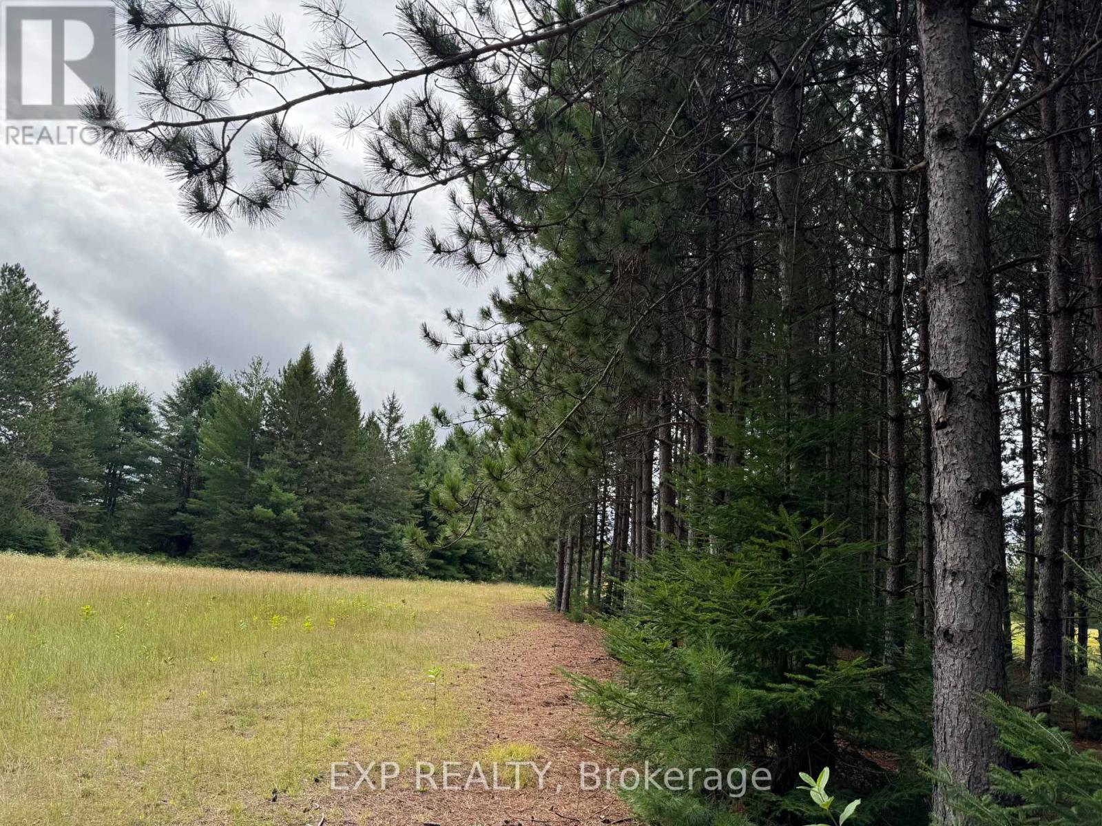 6311 Palmer Road, Brudenell, Ontario  K0J 2E0 - Photo 26 - X13706994