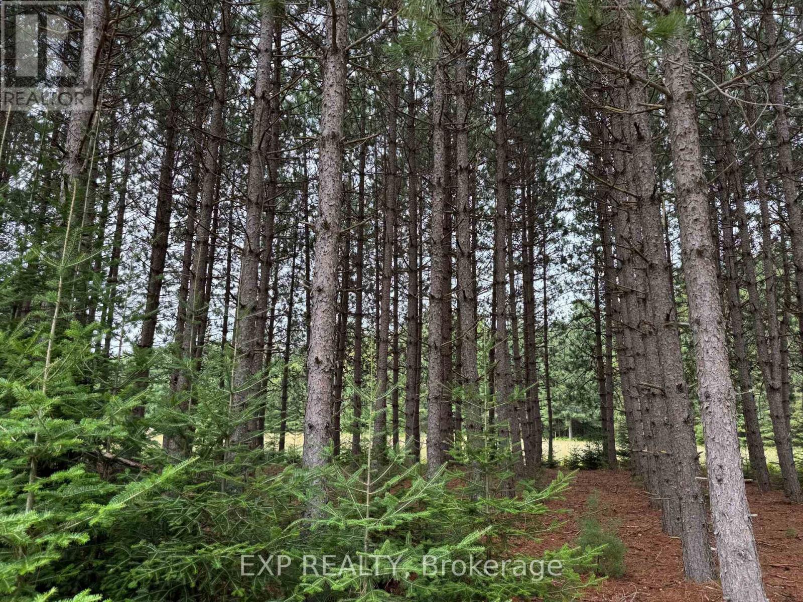 6311 Palmer Road, Brudenell, Ontario  K0J 2E0 - Photo 27 - X13706994