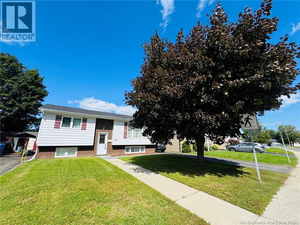 293 Dover Street, Campbellton, New Brunswick  E3N 3L5 - Photo 14 - NB146449
