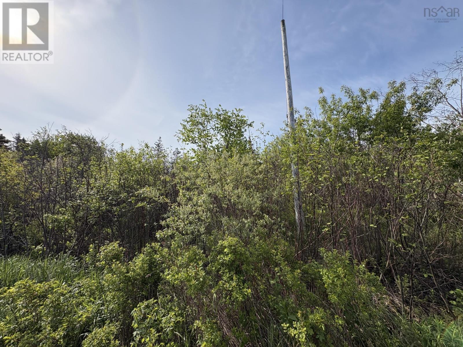 Lot 2 Shore Road, Ogilvie, Nova Scotia  B0P 1E0 - Photo 5 - 202603822