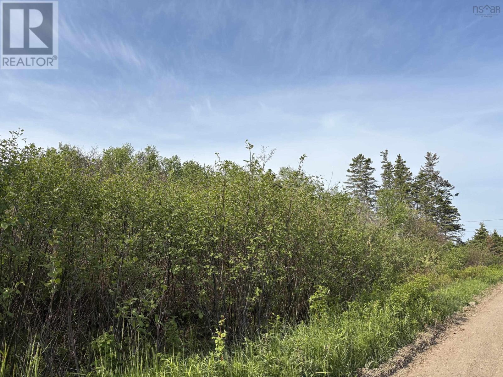 Lot 2 Shore Road, Ogilvie, Nova Scotia  B0P 1E0 - Photo 4 - 202603822