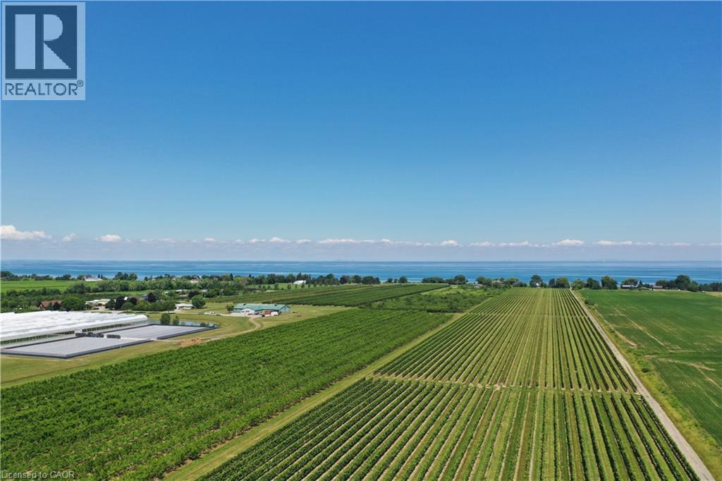3705 Service Road N, Beamsville, Ontario  L3J 1J3 - Photo 13 - 40836874