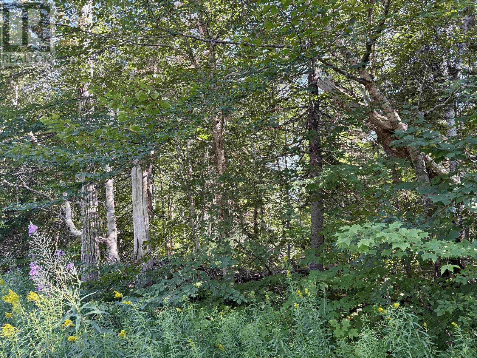 0 Kingross Crossing Road, Big Intervale, Margaree Valley, Nova Scotia  B0E 2C0 - Photo 3 - 202620549