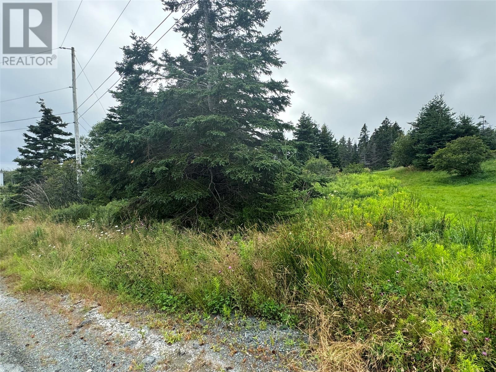 17a Crowes Lane, Torbay, Newfoundland & Labrador  A1K 1H5 - Photo 4 - 1302285