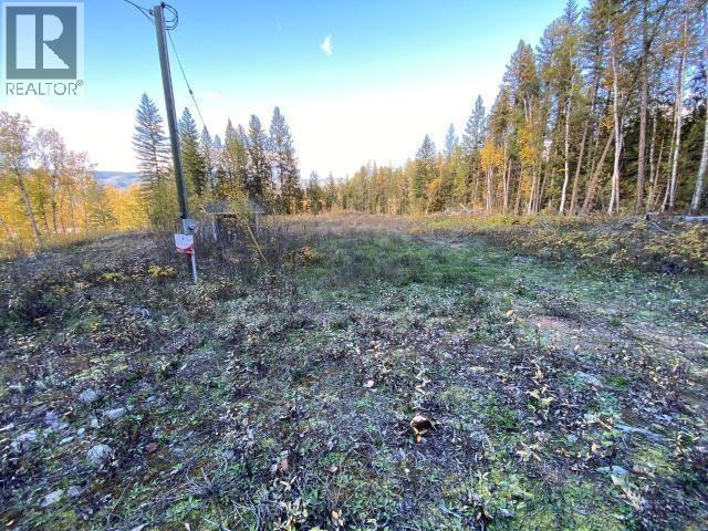 450 Dunn Lake Road, Clearwater, British Columbia  V0E 1N0 - Photo 5 - 10375023