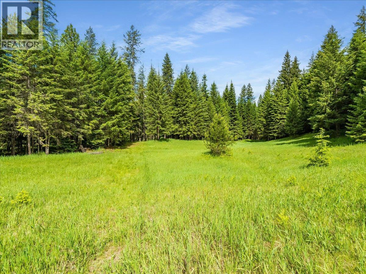 2621 3a Highway, Castlegar, British Columbia  V1N 4P5 - Photo 29 - 10398006