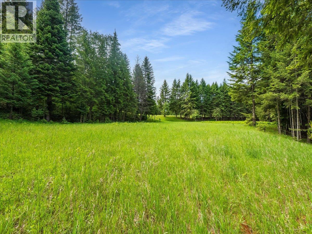 2621 3a Highway, Castlegar, British Columbia  V1N 4P5 - Photo 33 - 10398006